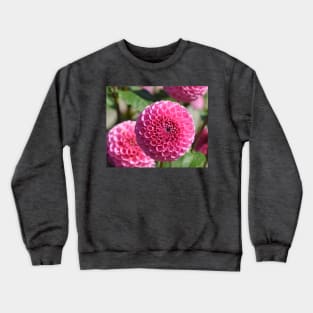 Pink Dahlias Crewneck Sweatshirt